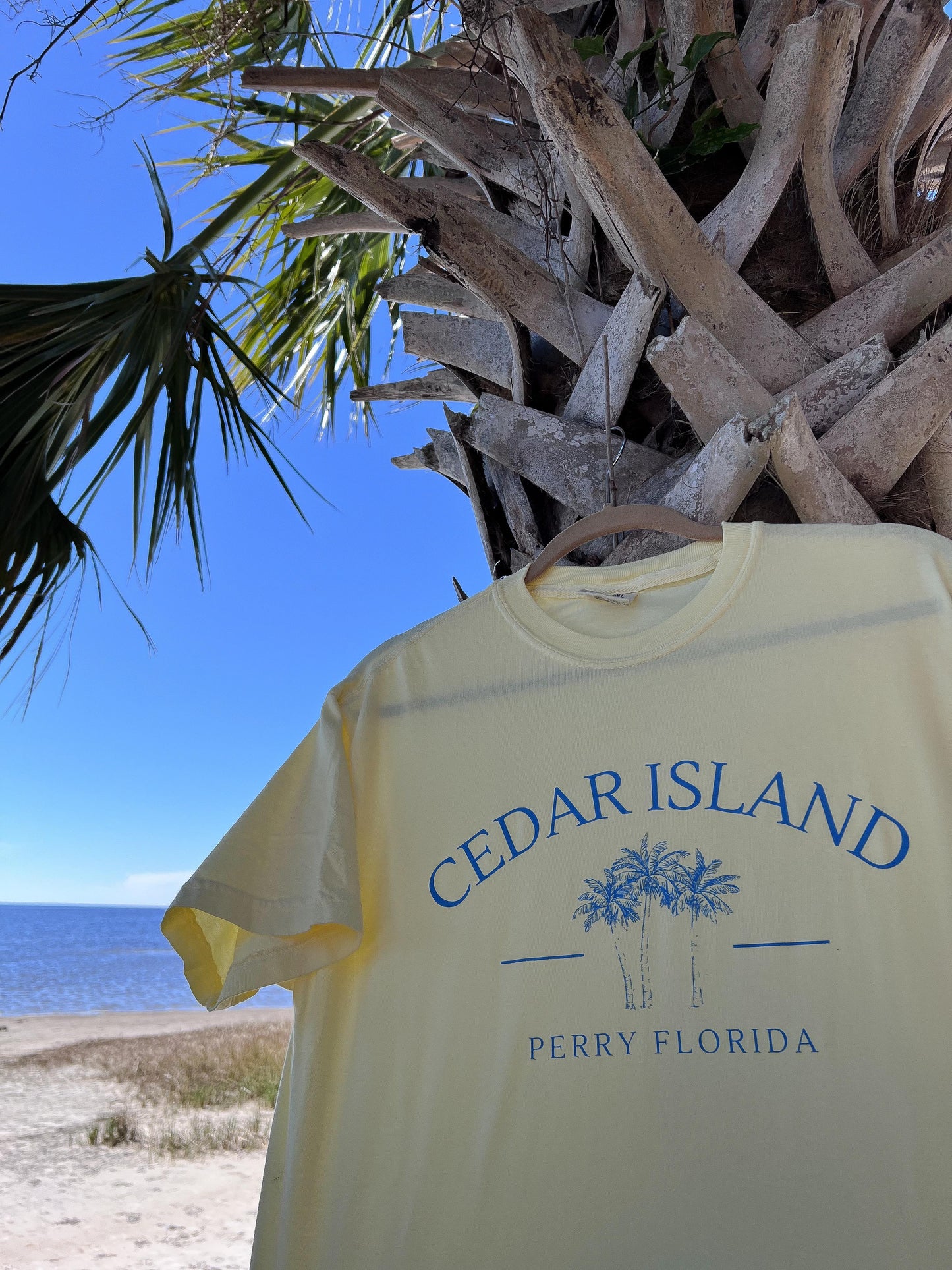 Cedar Island