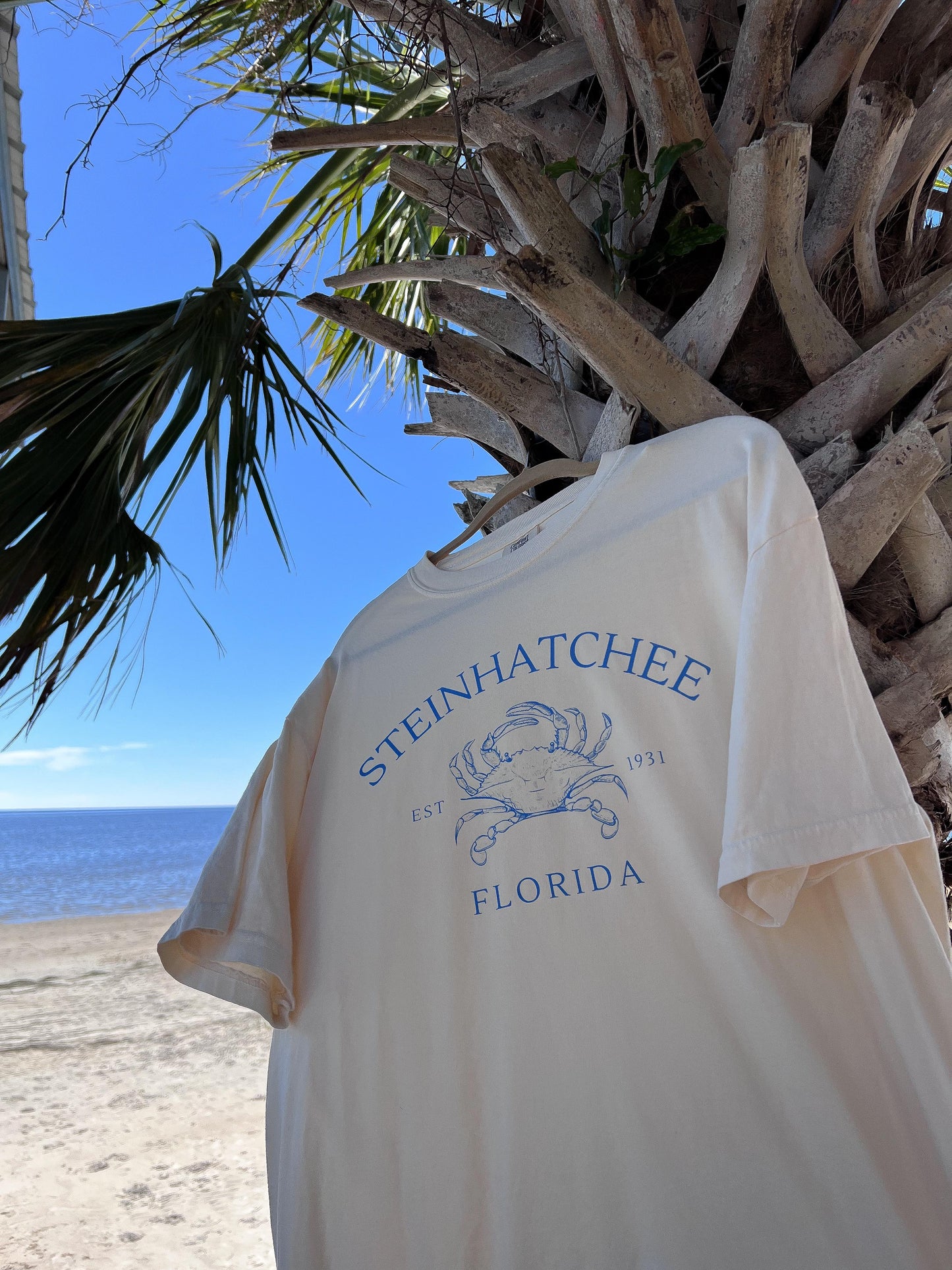 Steinhatchee