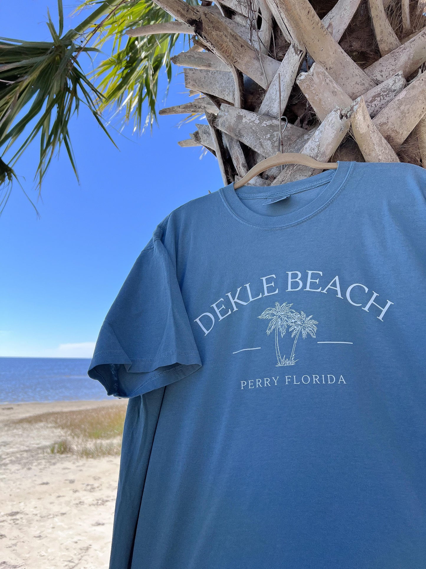 Dekle Beach